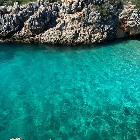 Πανσιόν Hummingbird Κηπαρό