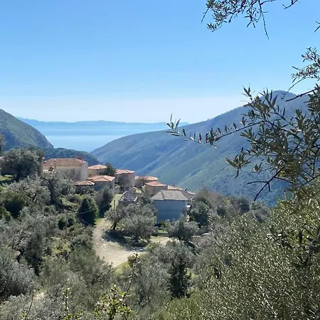 Hummingbird Κηπαρό