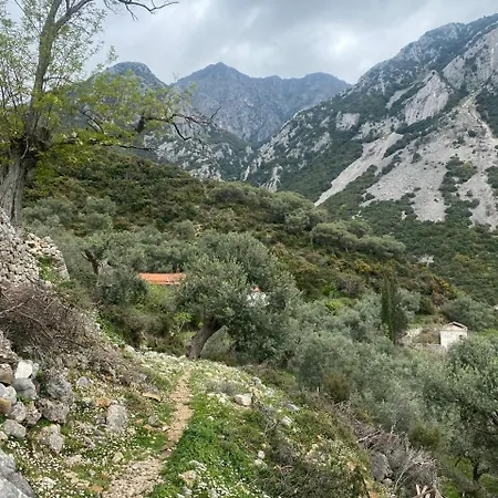 Hummingbird Κηπαρό