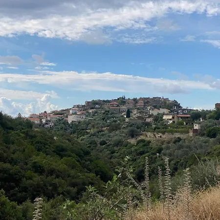 Hummingbird * Κηπαρό