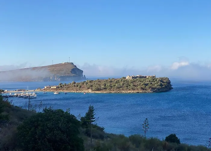 Hummingbird Pensjonat