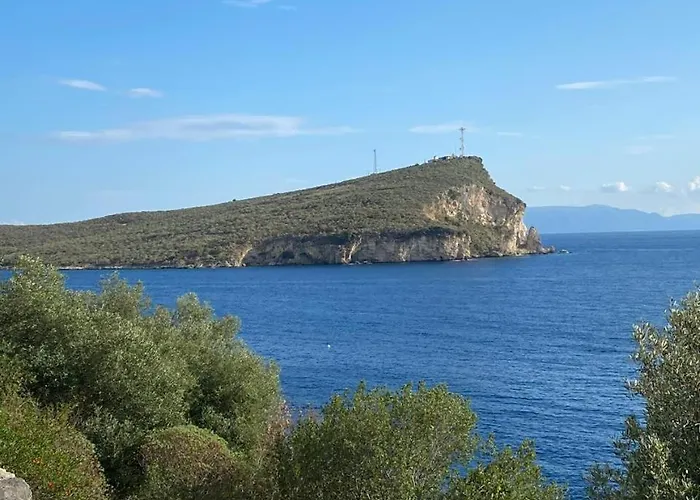 Hummingbird Pensjonat *