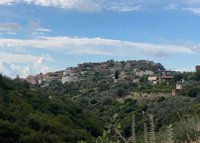 Hummingbird * Qeparo